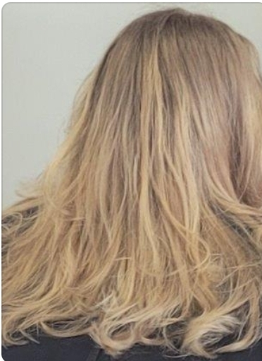 All Over Gloss/Toner & Cut
