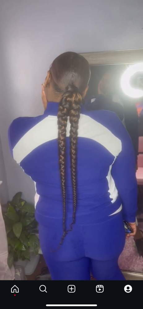 Double Braid Ponytail