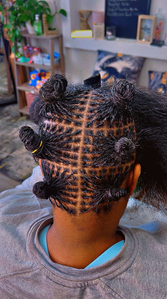 Micro Locs Twist/Braids