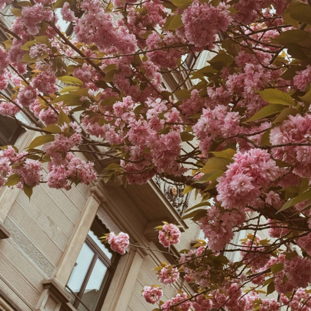 Lived In Blonde Session at Moxie + Mane Hair Co. in Johnson City, TN