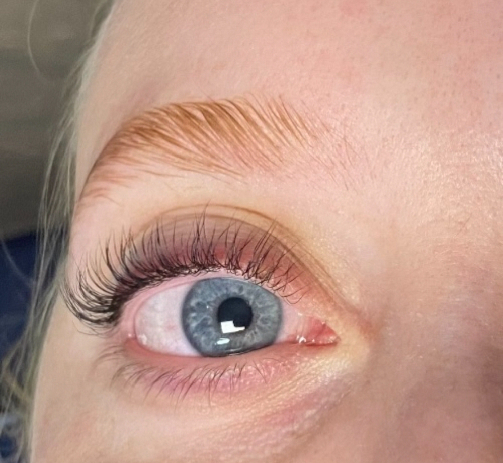 Lash Lift and Tint