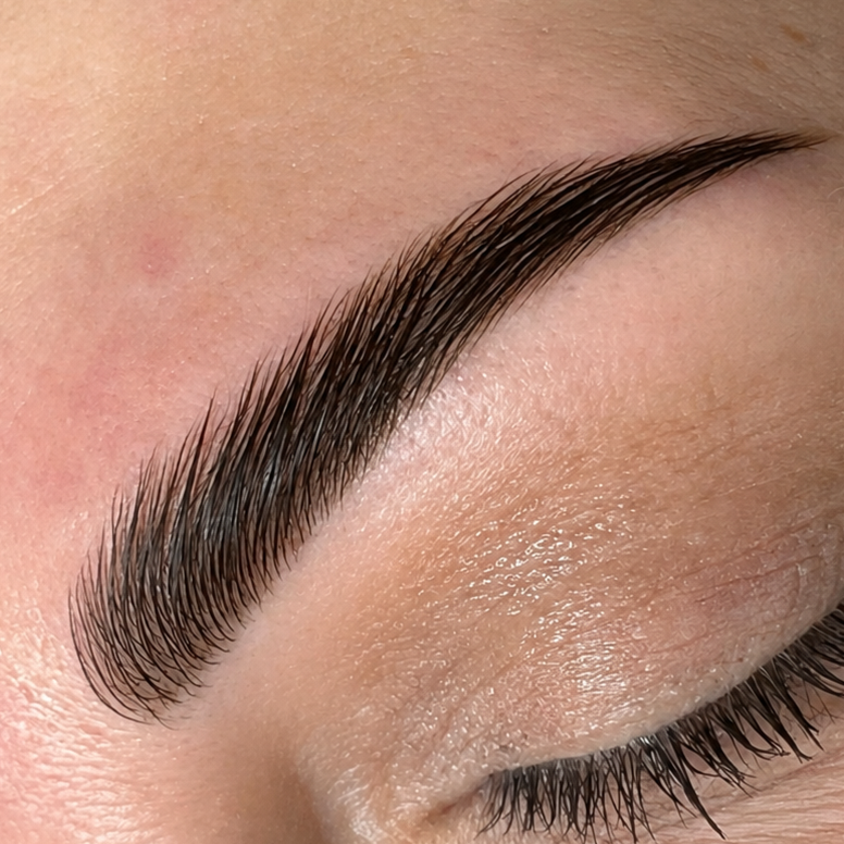 Brow Tint at Gingie Lashes & Brows in Buffalo Grove, IL