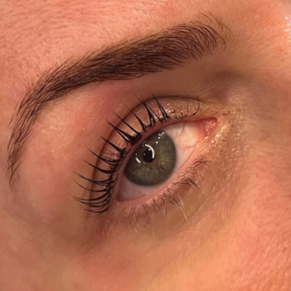 Lash Lift at Plum Esthetics in San Antonio, TX