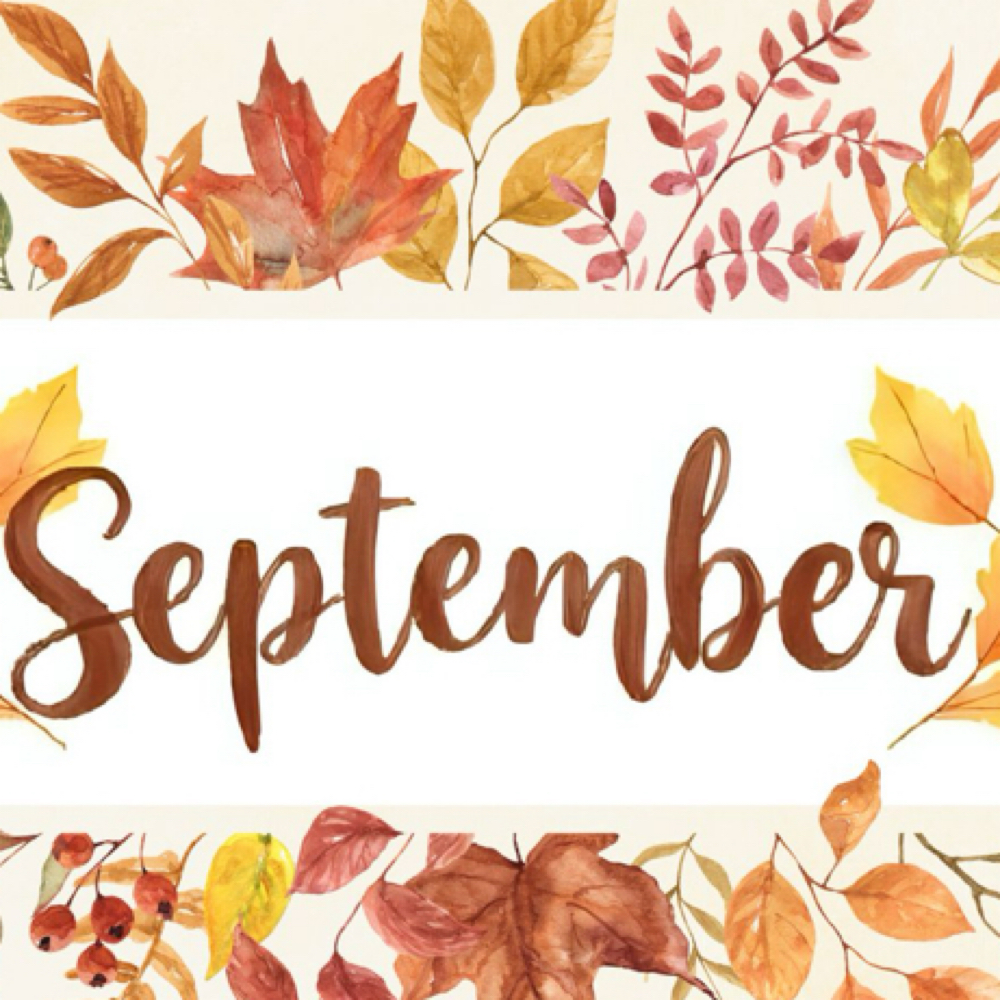 Sept Special: Bright & Tight Facial at Danelle French Aesthetics in Indianapolis, IN