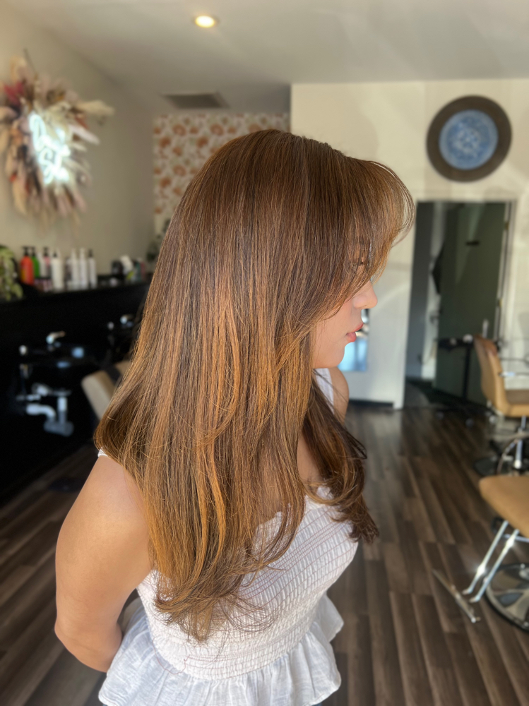 Shampoo & Blowout at Daxella Salon in Hernando, MS