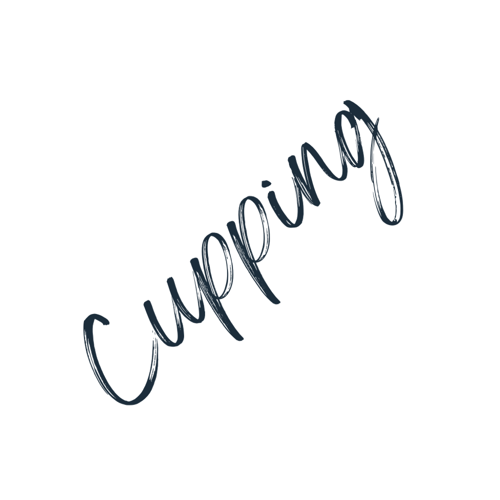 Cupping