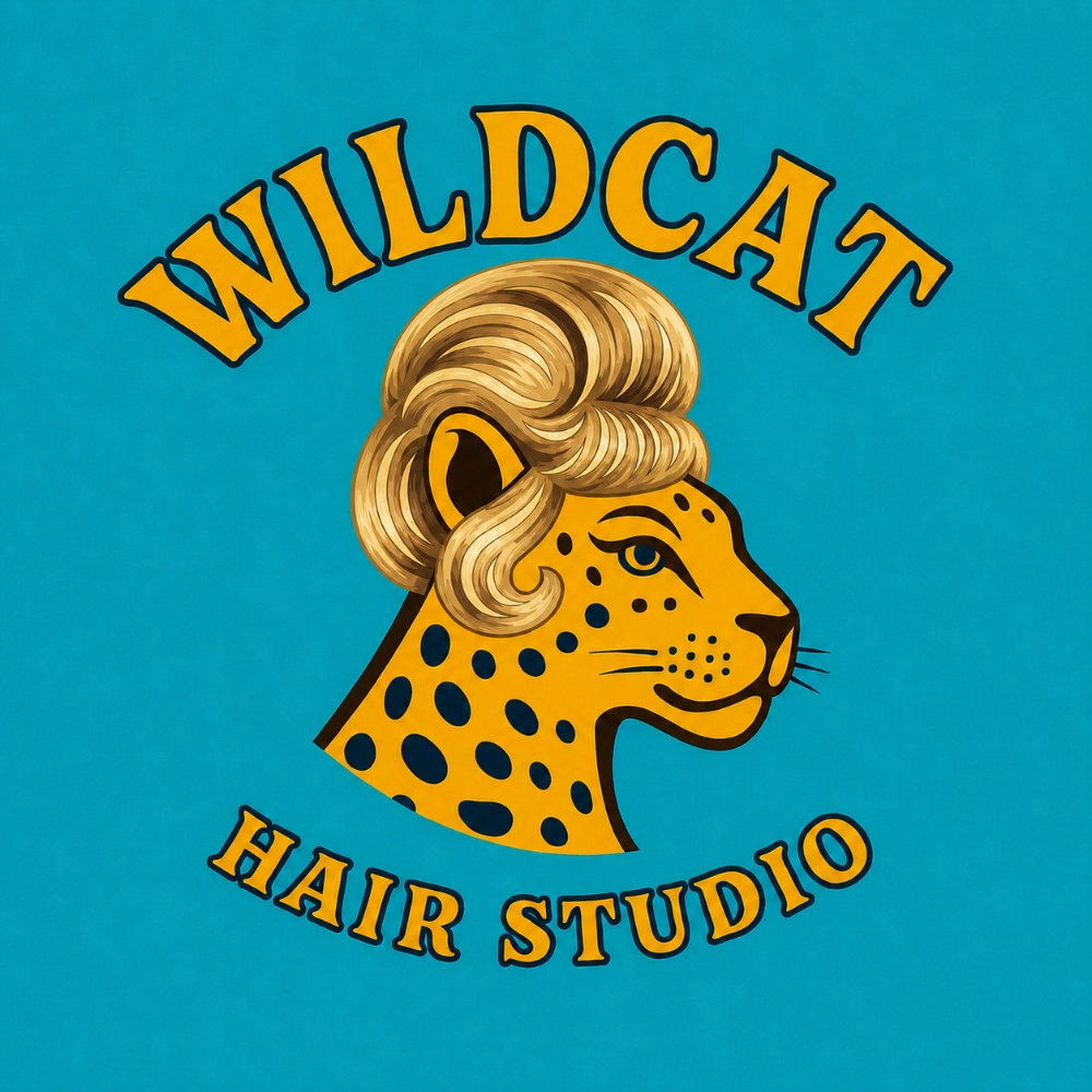 Color Retouch & Highlight ($328) at WILDCAT HAIR STUDIO in San Diego, CA