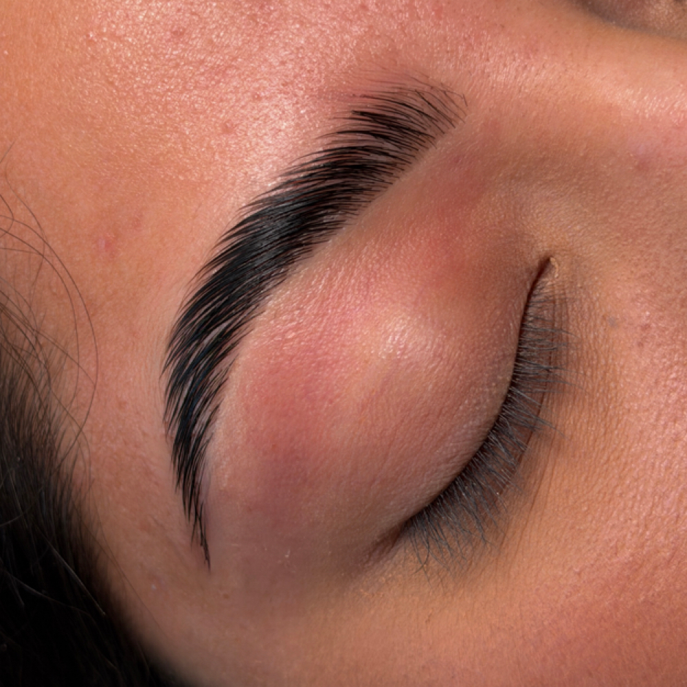 OpalSknBrows at OpalSknStudio in Marina Del Rey, CA