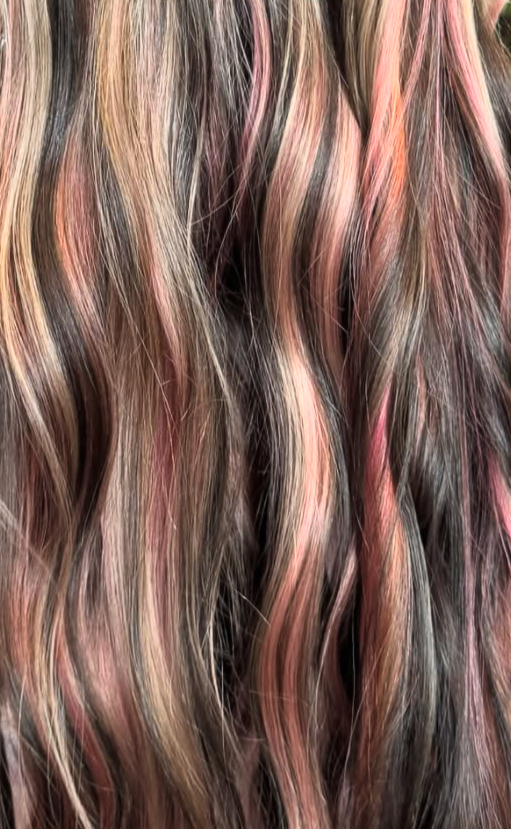 Fashion Color ( Vivids)