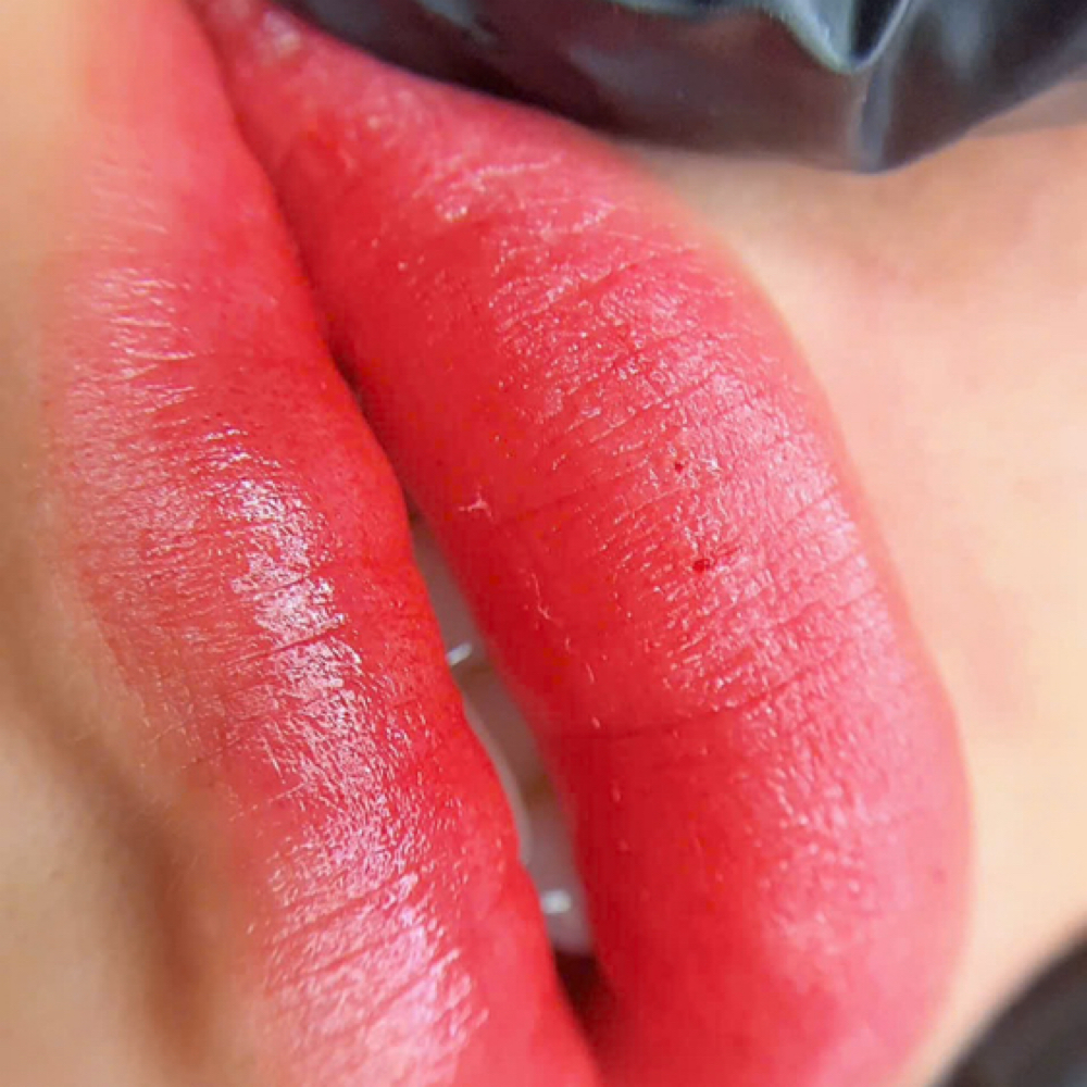 LIPS TOUCH UP 12-18 months at AURORABROWS in Cocoa, FL
