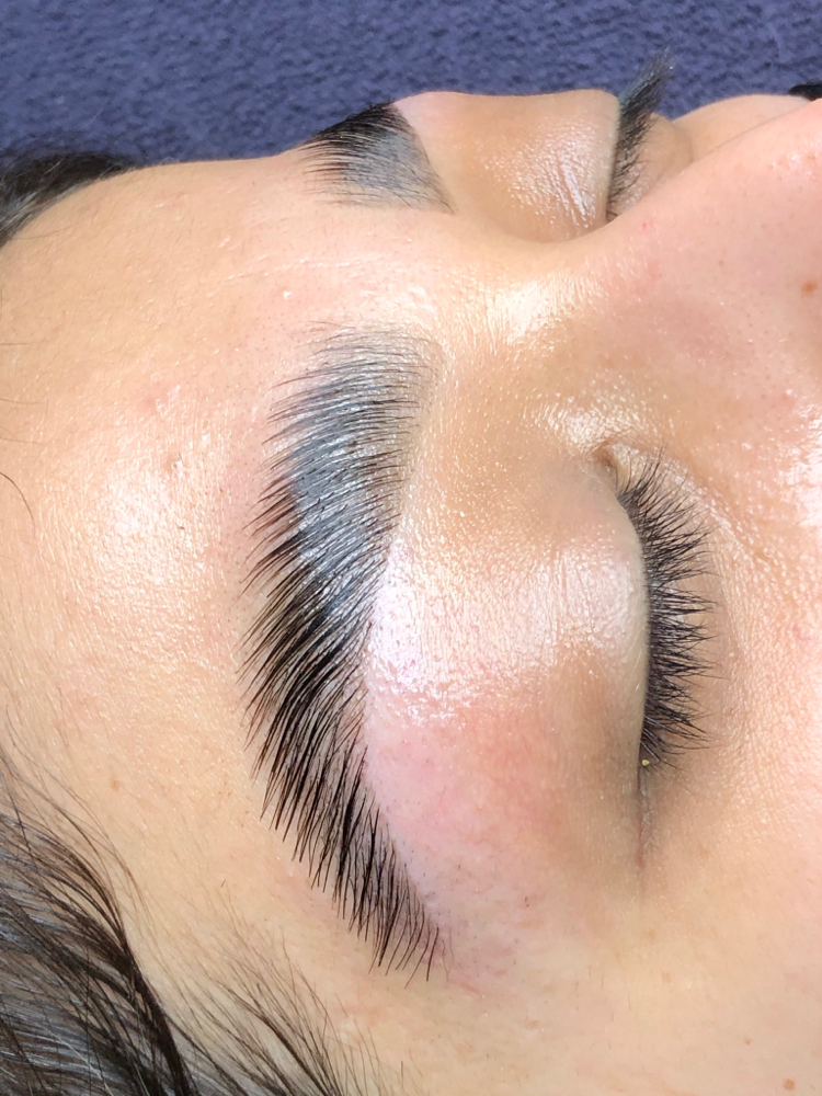 Eyebrow Lamination + Wax