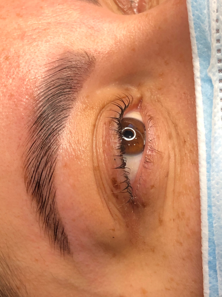Eyebrow Lamination + Wax + Tint