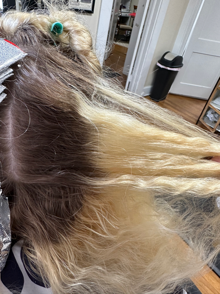 Full Blonding Touch Up