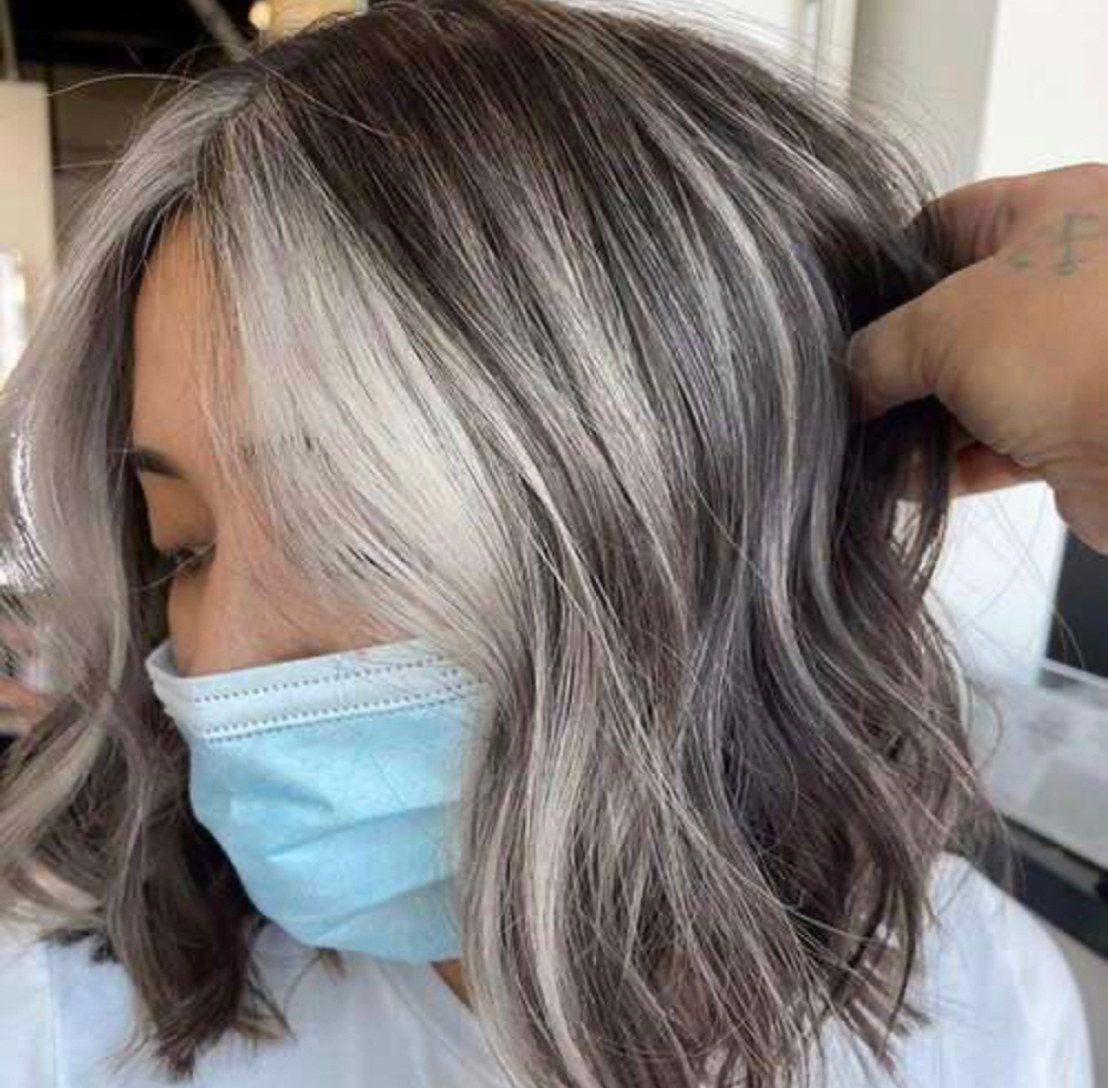 All Over Toner/ Gray Blending