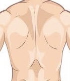 Back (full)