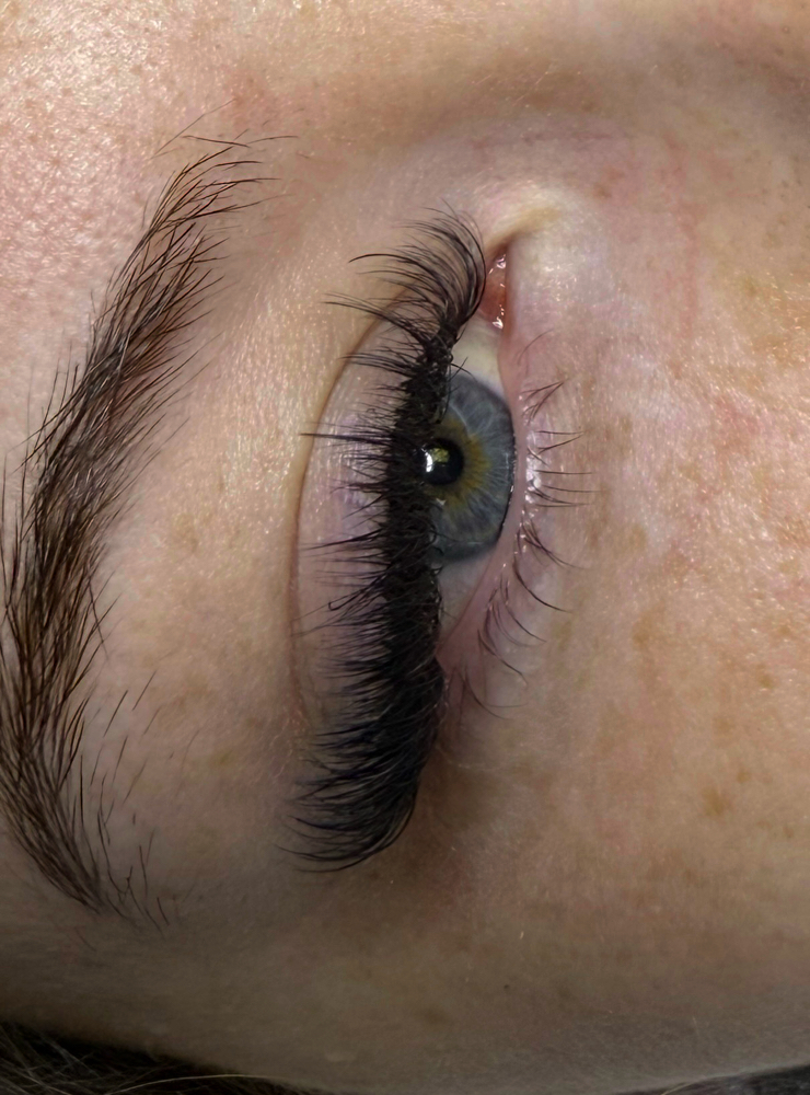 Hybrid 3 Week Fill
