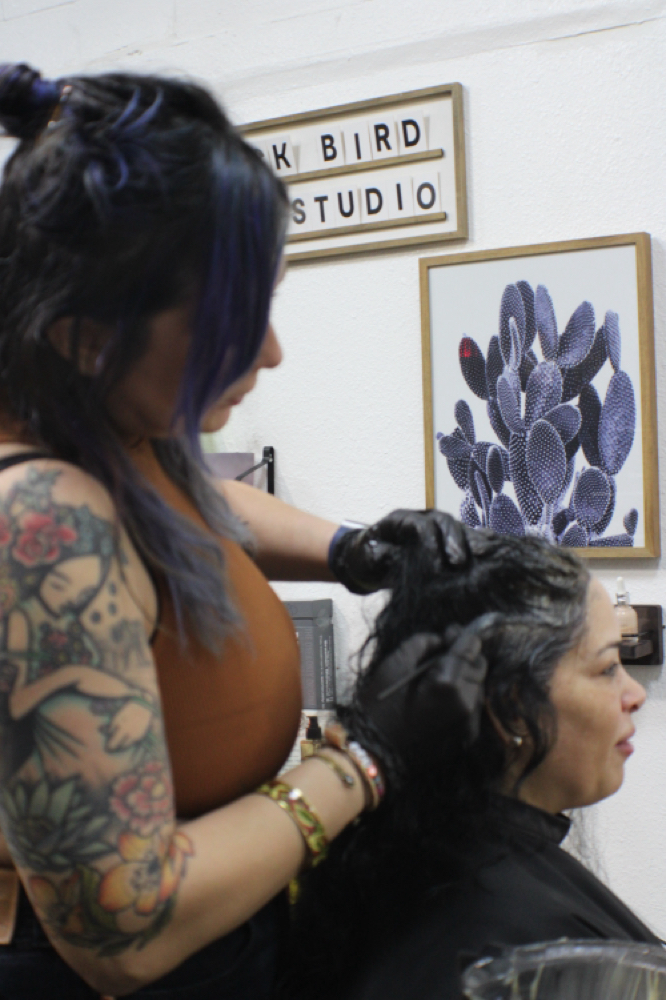 Color Service ⭐️