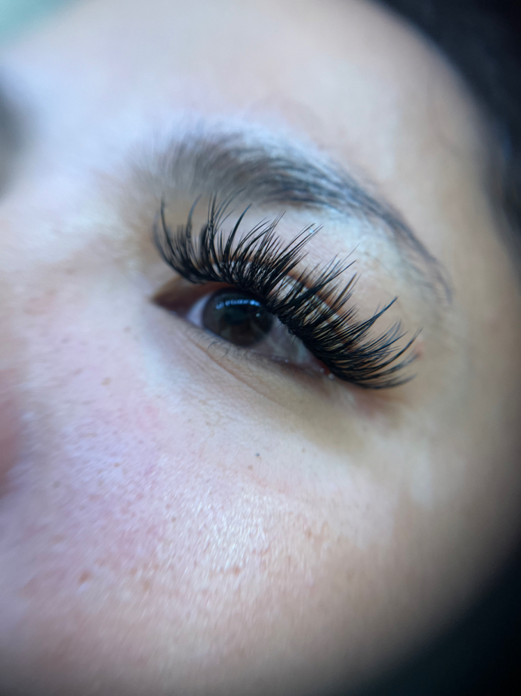 Wispy Volume 2 Week Fill