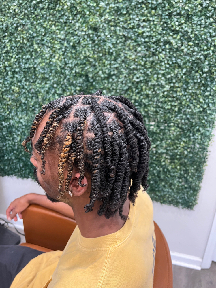 Two Strand Twist (Med)