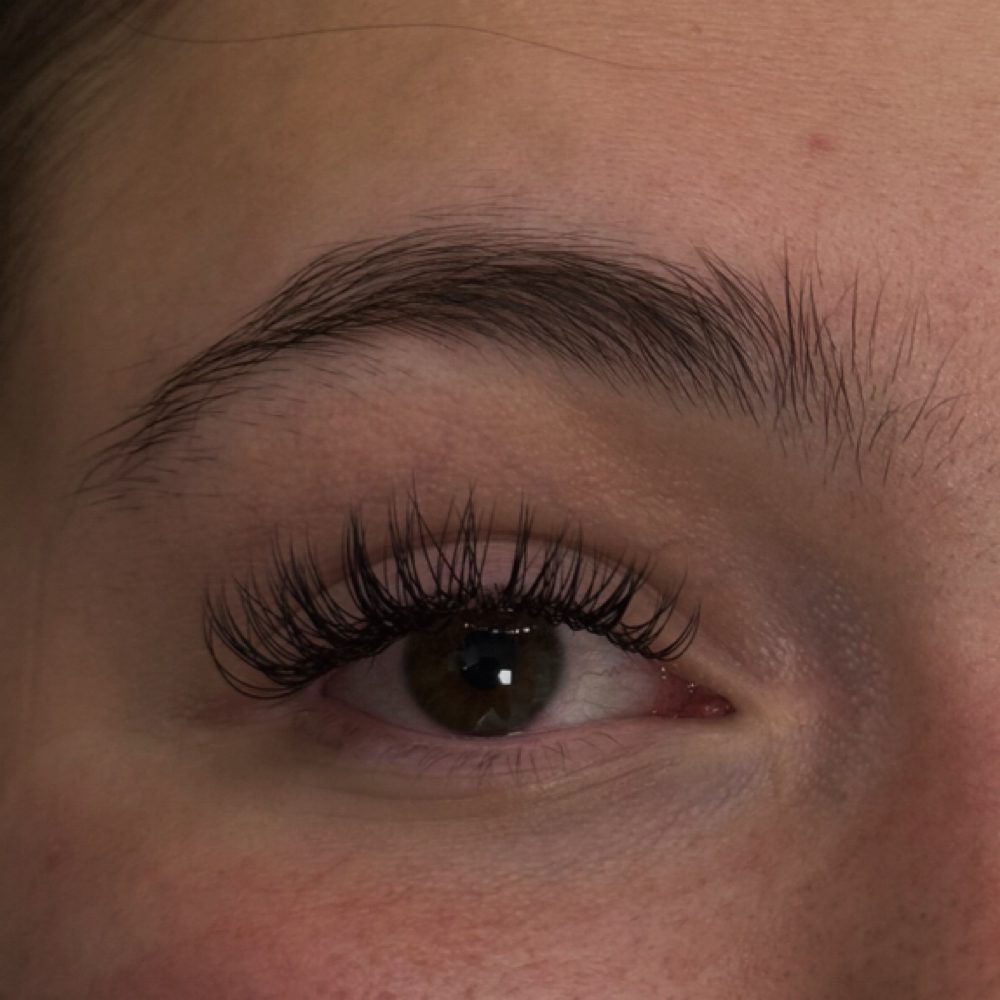 Full Set - Lash Extensions at Skin by Tins in Greer, SC