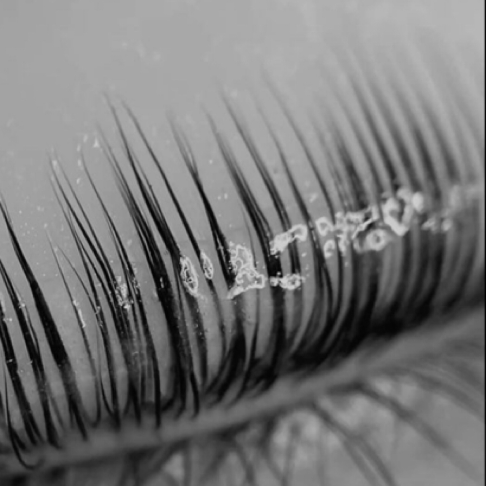 Lash Lift at Beauty By Andrea in Modesto, CA