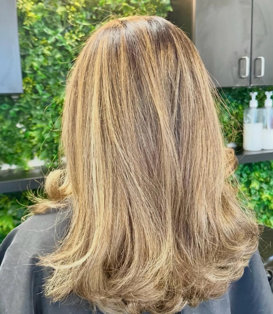 Full Highlight + Haircut at Zcbeautyy in Canton, MI