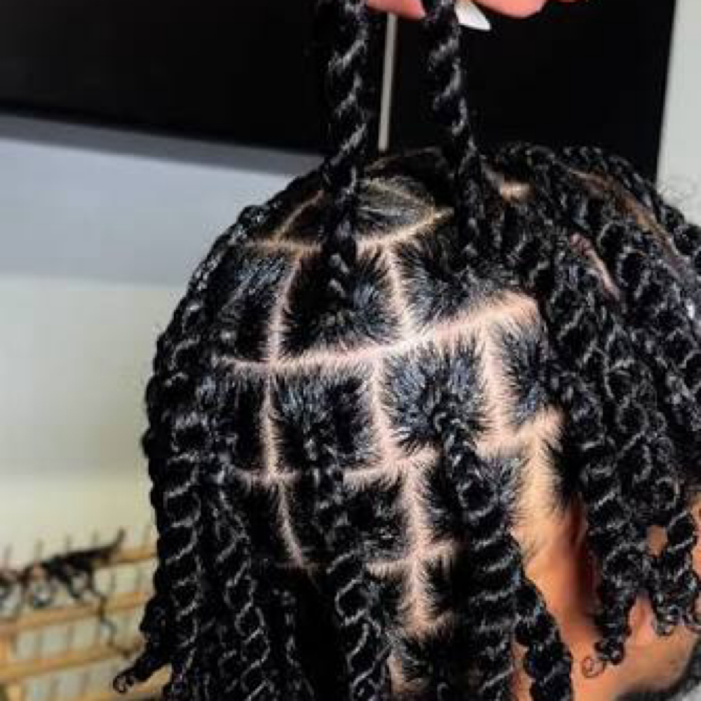 Two Strand Twists at Bei Capelli by JayMarie in Greece, NY
