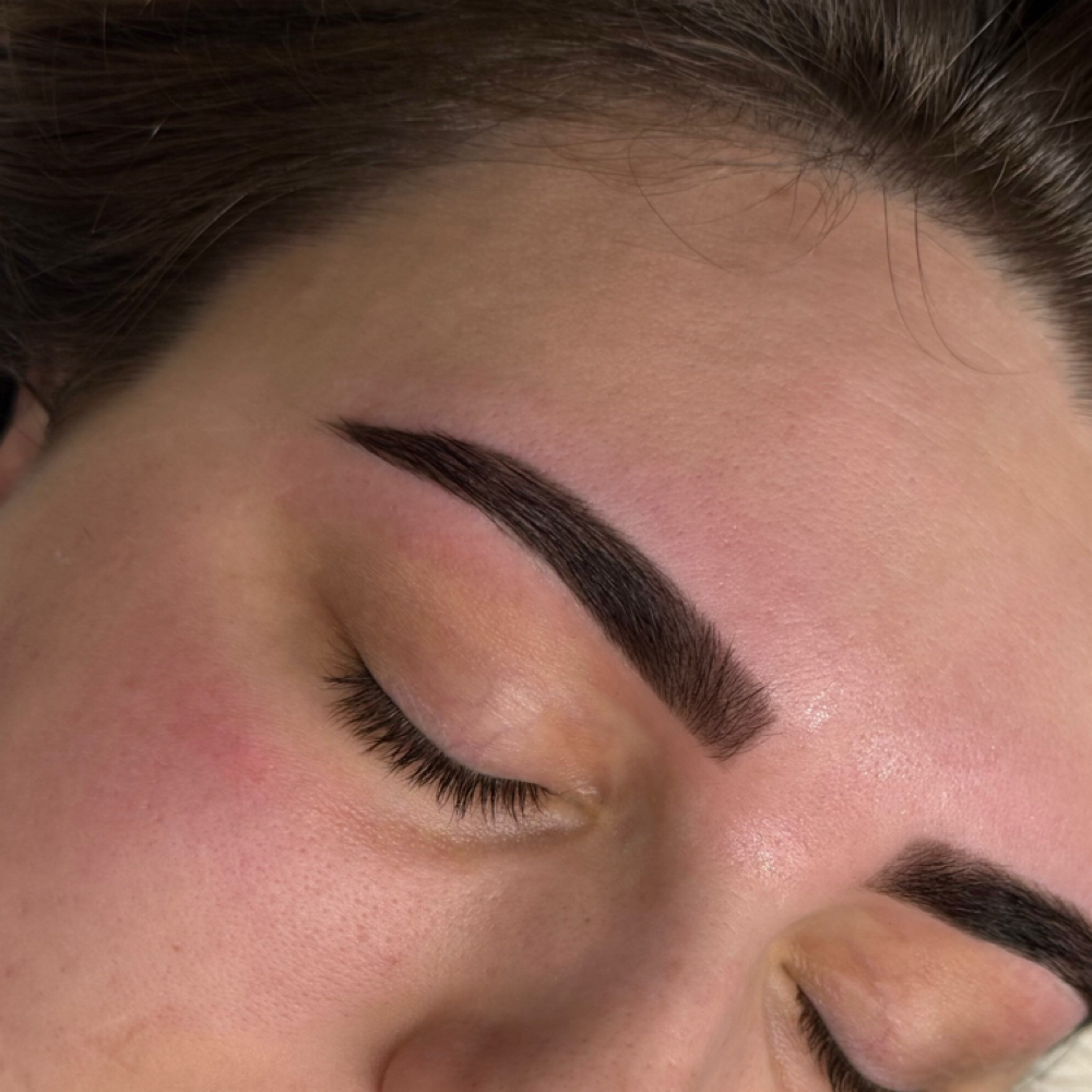 Brow Tint + Shape at Lavish By Lily in Greenwood, AR