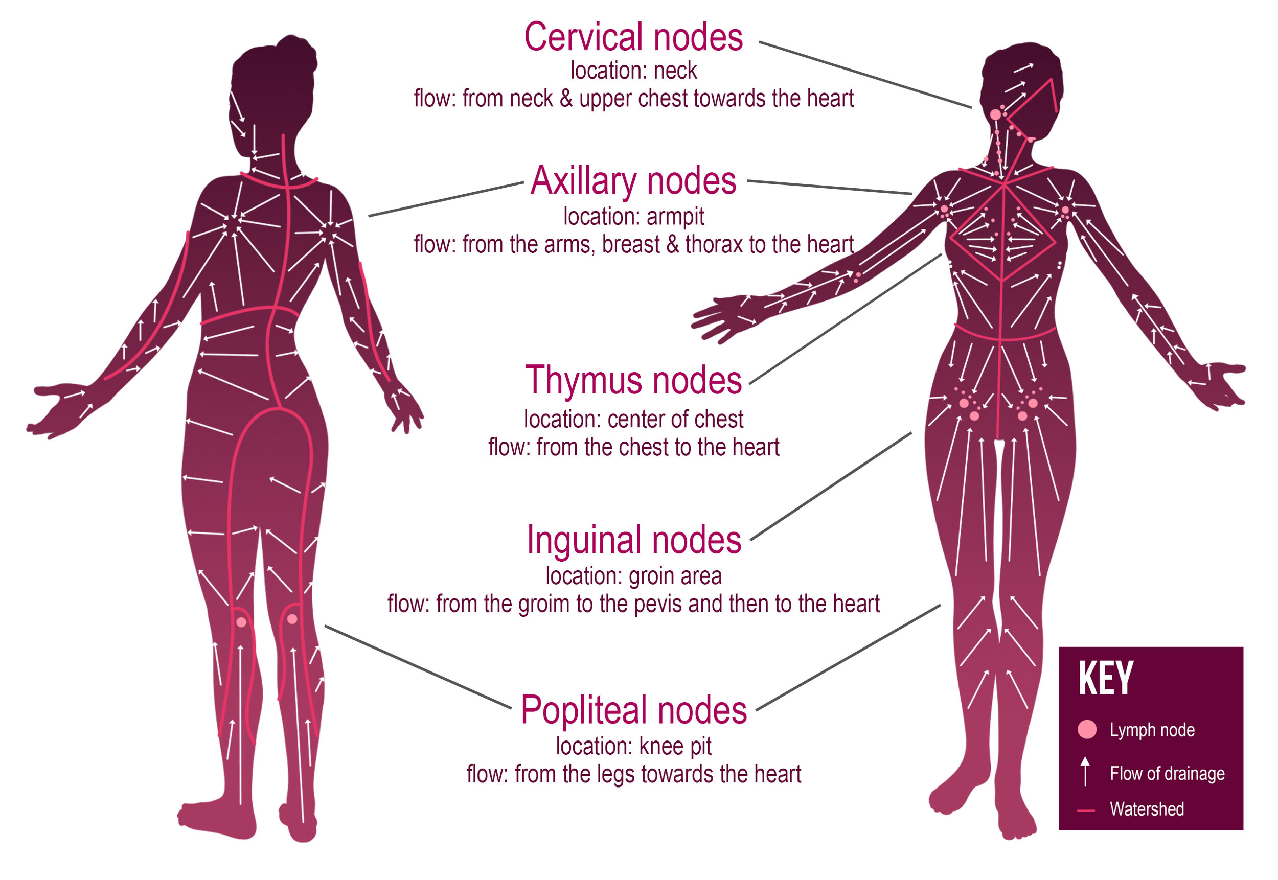 Manual Lymphatic Drainage Massage