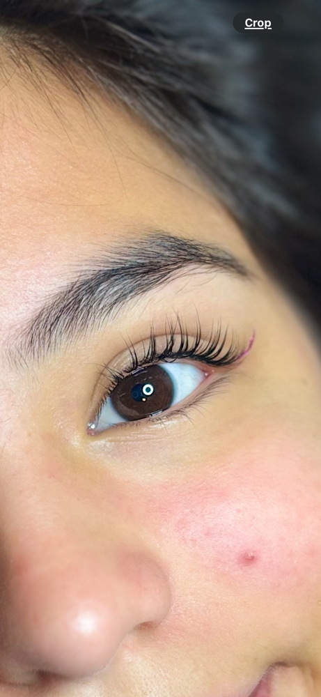 Lash Lift & Tint at Lash & Glow in Odessa, TX