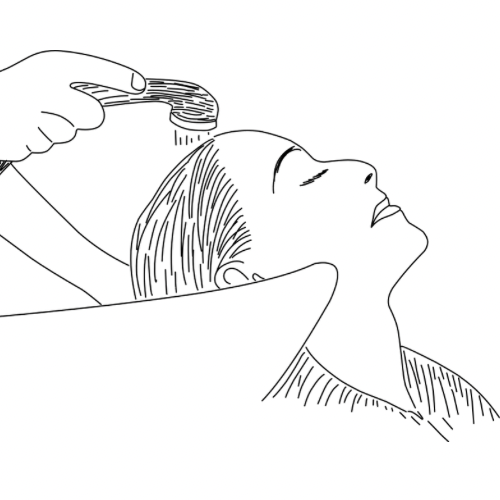 Scalp Basic