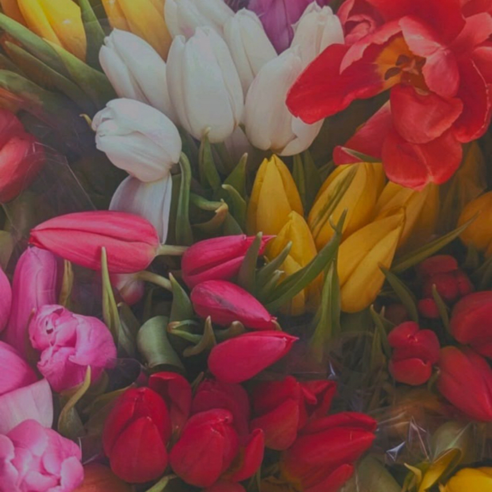 Bloom & Lift Facial at Lavender Glow Spa in East aurora, NY