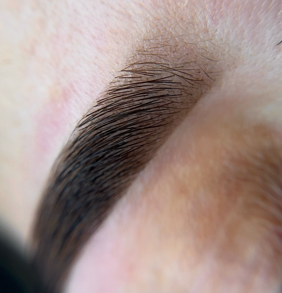 Brow Shading