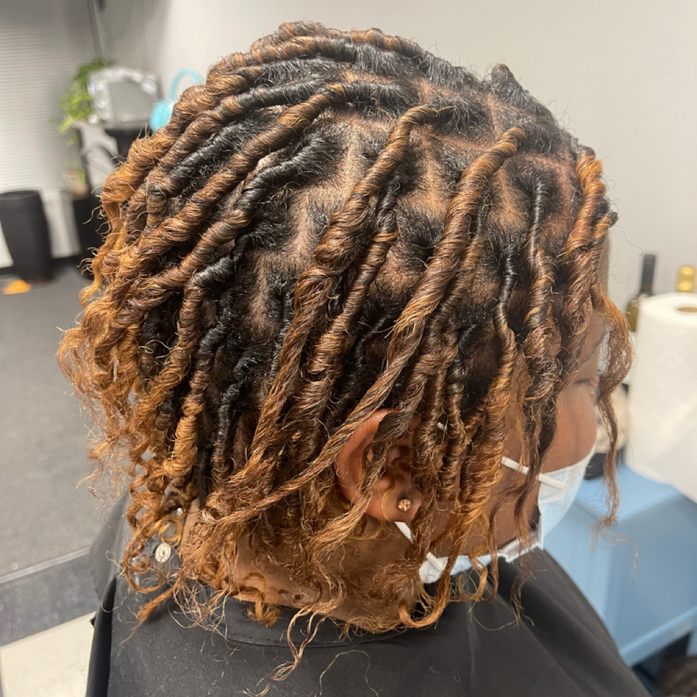 Starter Locs ( Two Strand, Etc) at Nifty Nita in Newport News, VA