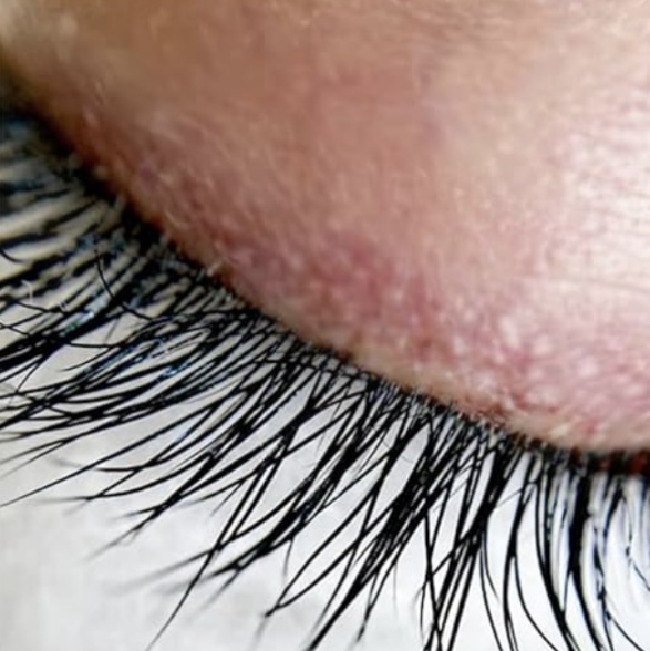 Lash Tint