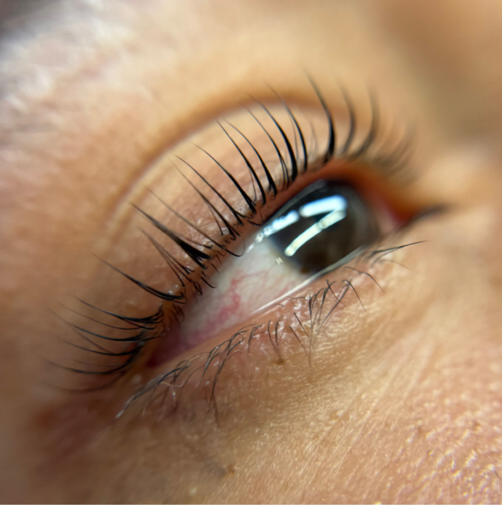 Lash lift maintenance at sofia dias in gloucester, MA