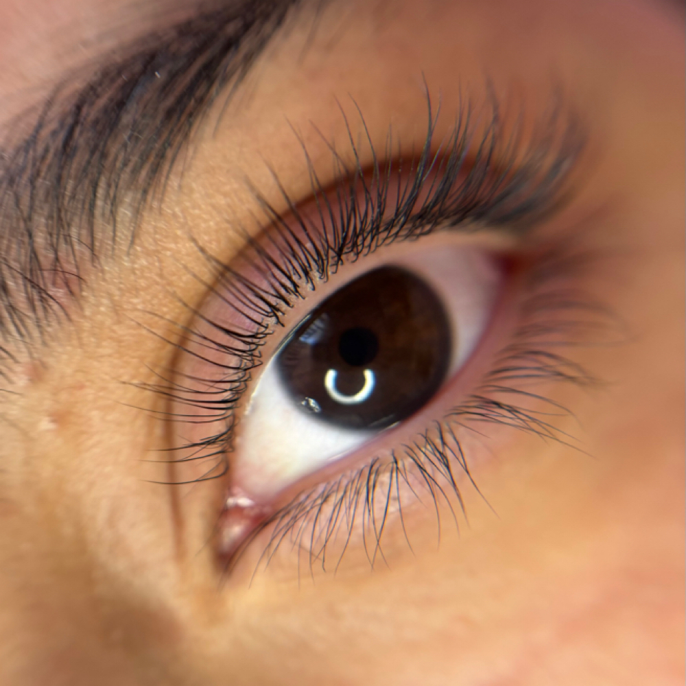 Lash Lift & Tint at The Pink Room in Reno, NV