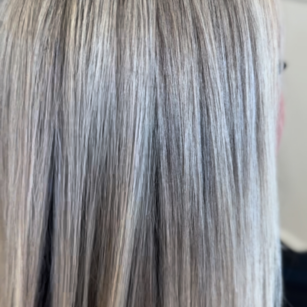 Grey Blending Consultation at Summer Freeman Hair in Fresno, CA
