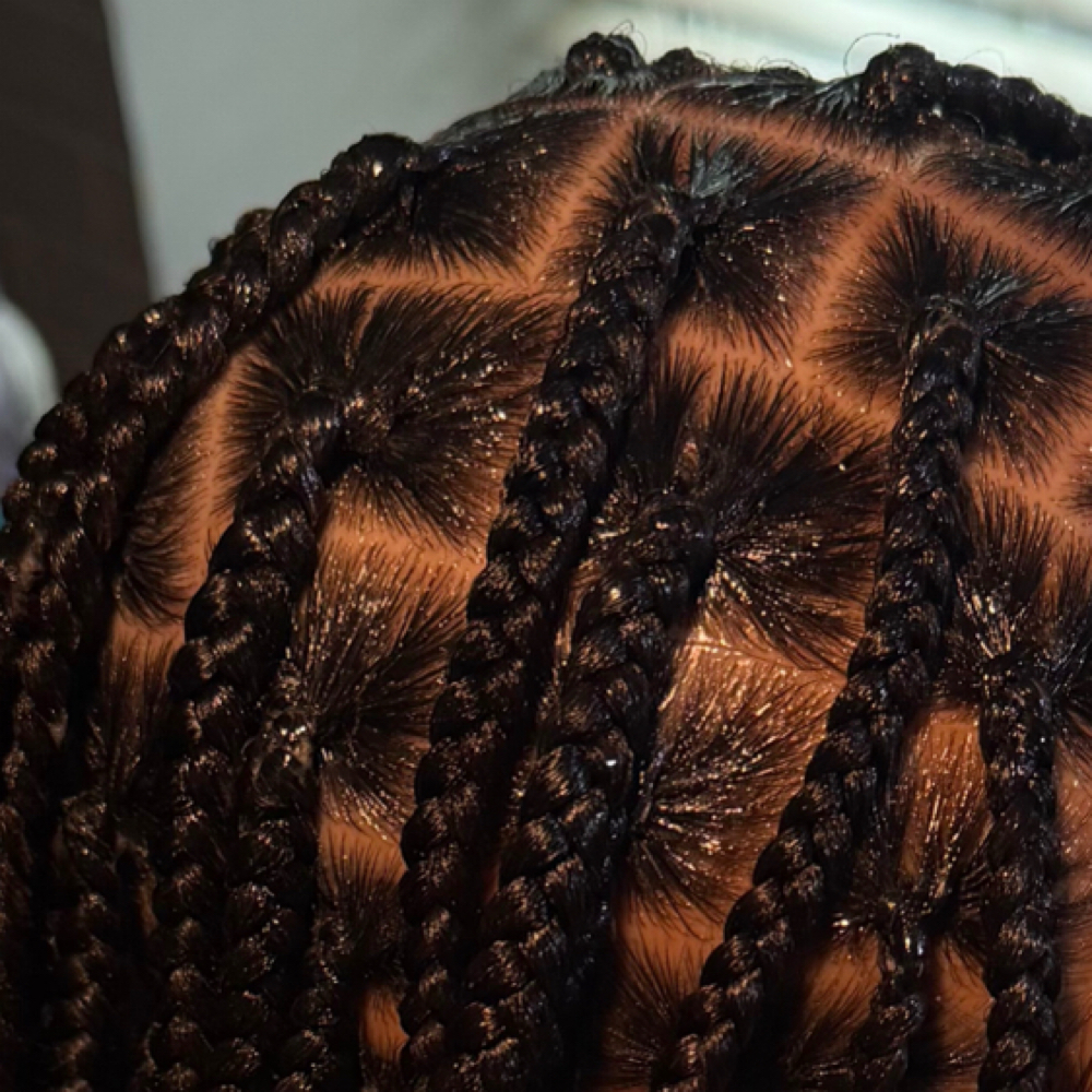 Knotless Braids at Styledbytiatraniece in Elkton, MD