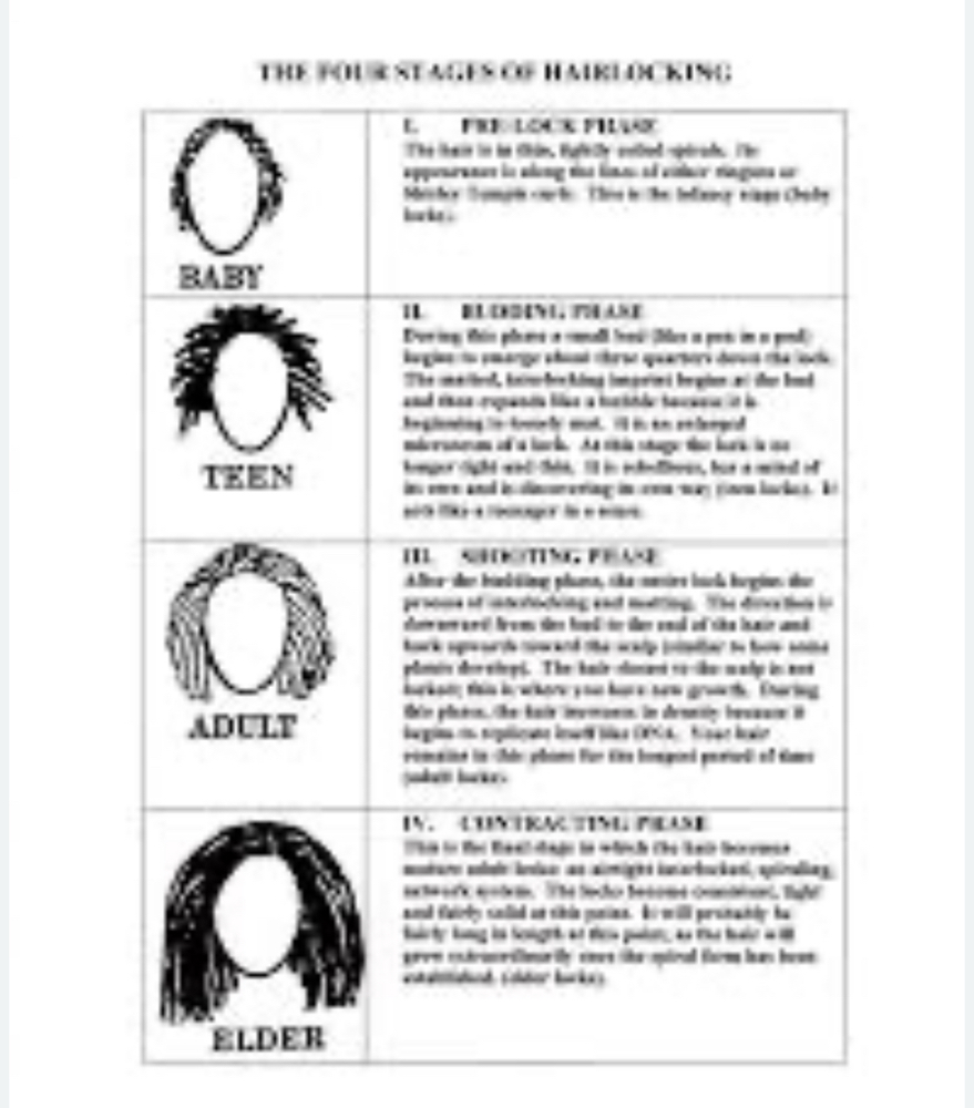 Loc Consultation at LBZ Hair Company in Pelham, AL