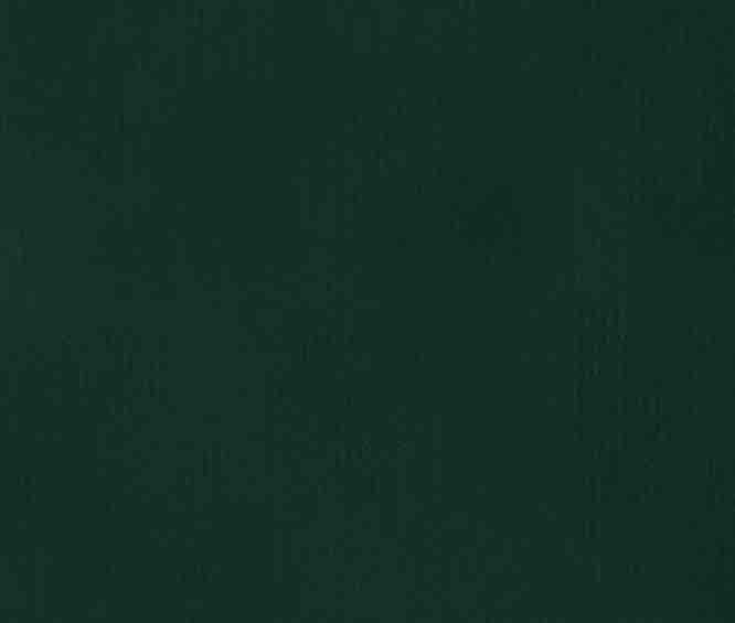 Full Highlight
