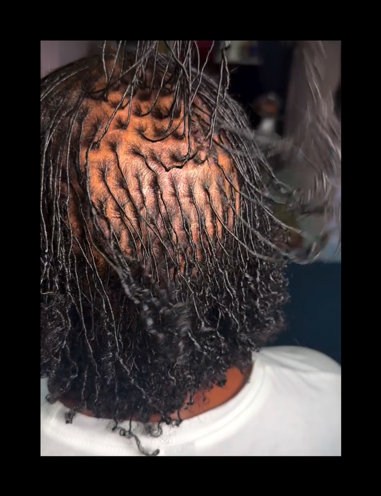 Mirco Starters at Exquisite Locs by Chrissy in Memphis, TN