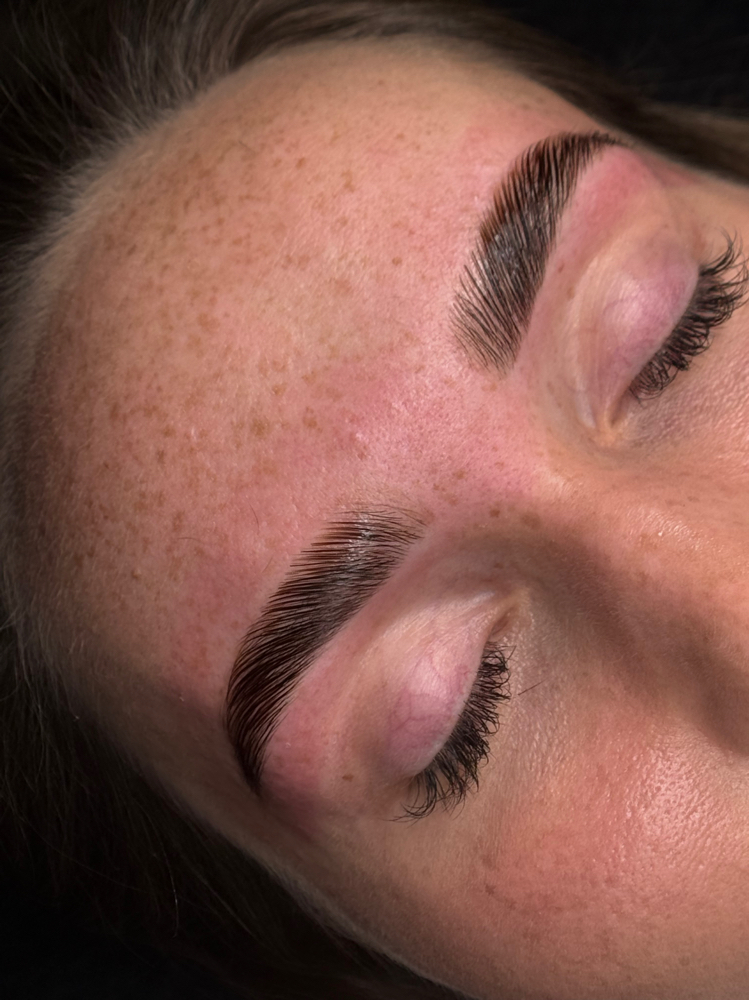 Brow Lamination, Stain, & Wax