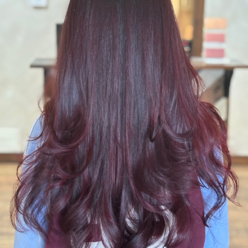 All Over Color at Brittany  Noll in Villa Rica, GA