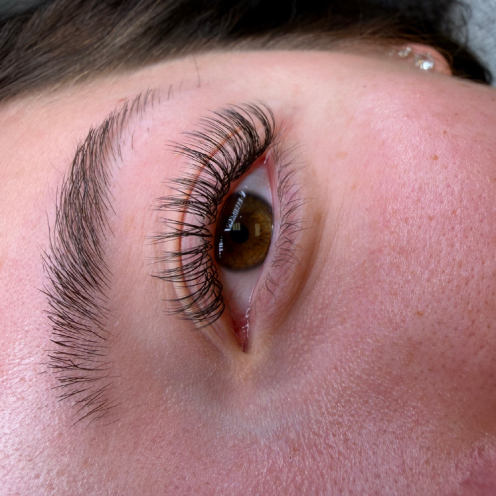 Classic Volume at Pretty Lashes By Per in SPRINGFIELD, MO