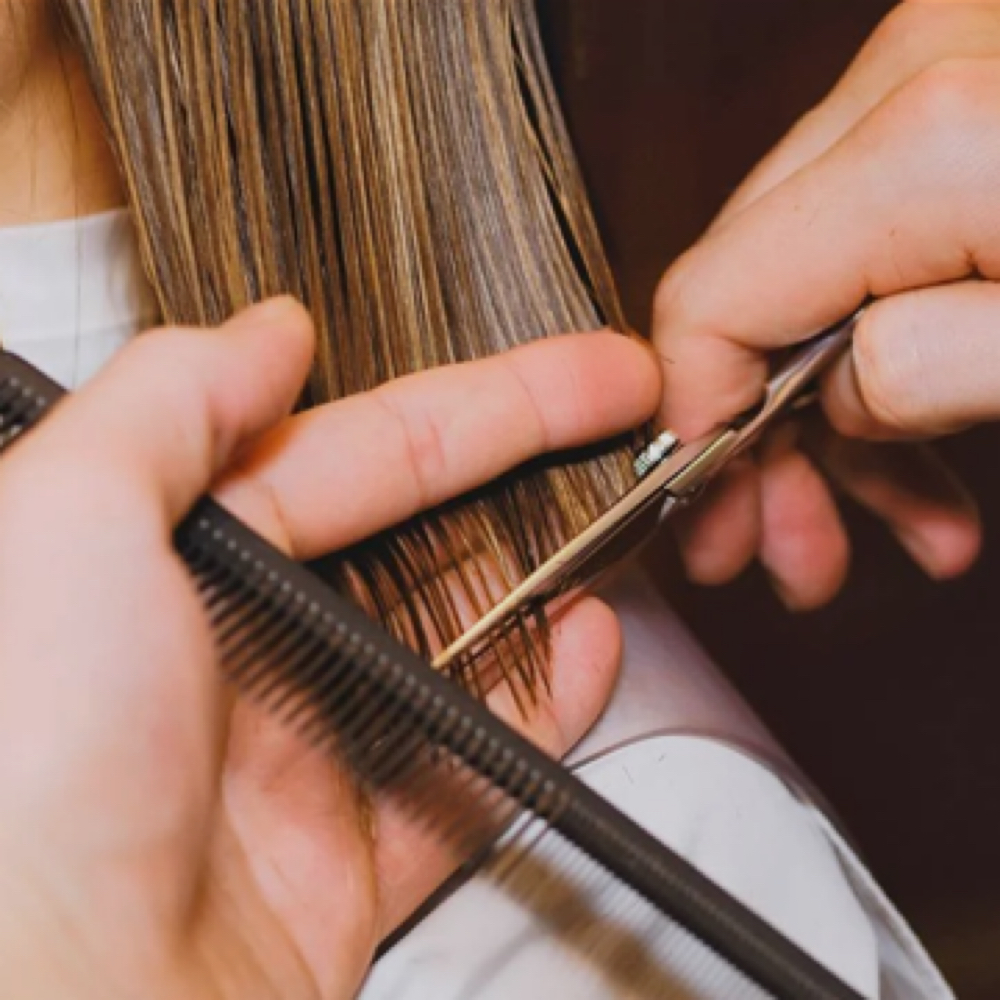 Mid-Length Haircut (Ear To Shoulder)- Kaydra at Indulge by Cherre  and Kaydra in North Mankato, MN