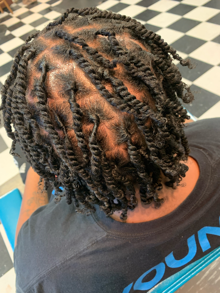 Starter Locs(2 Strand Twist Method)
