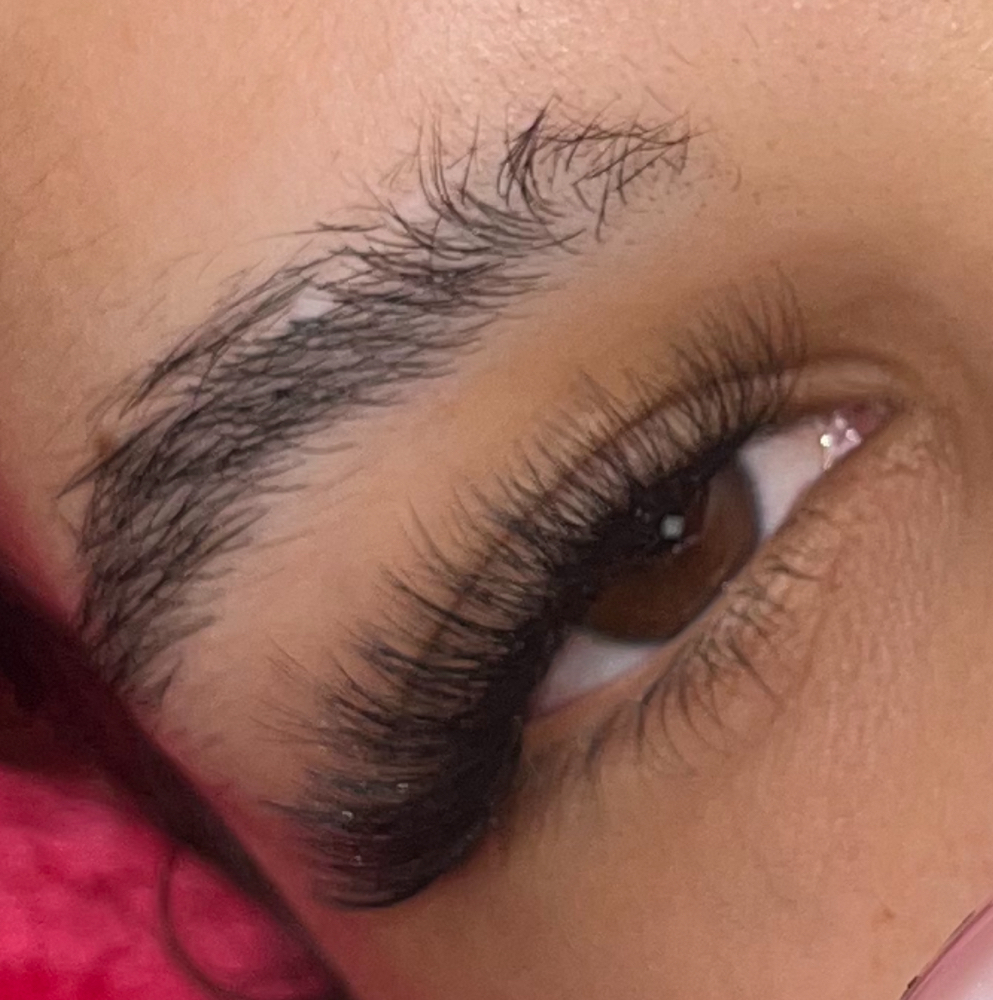 Hybrid 2 Week Fill