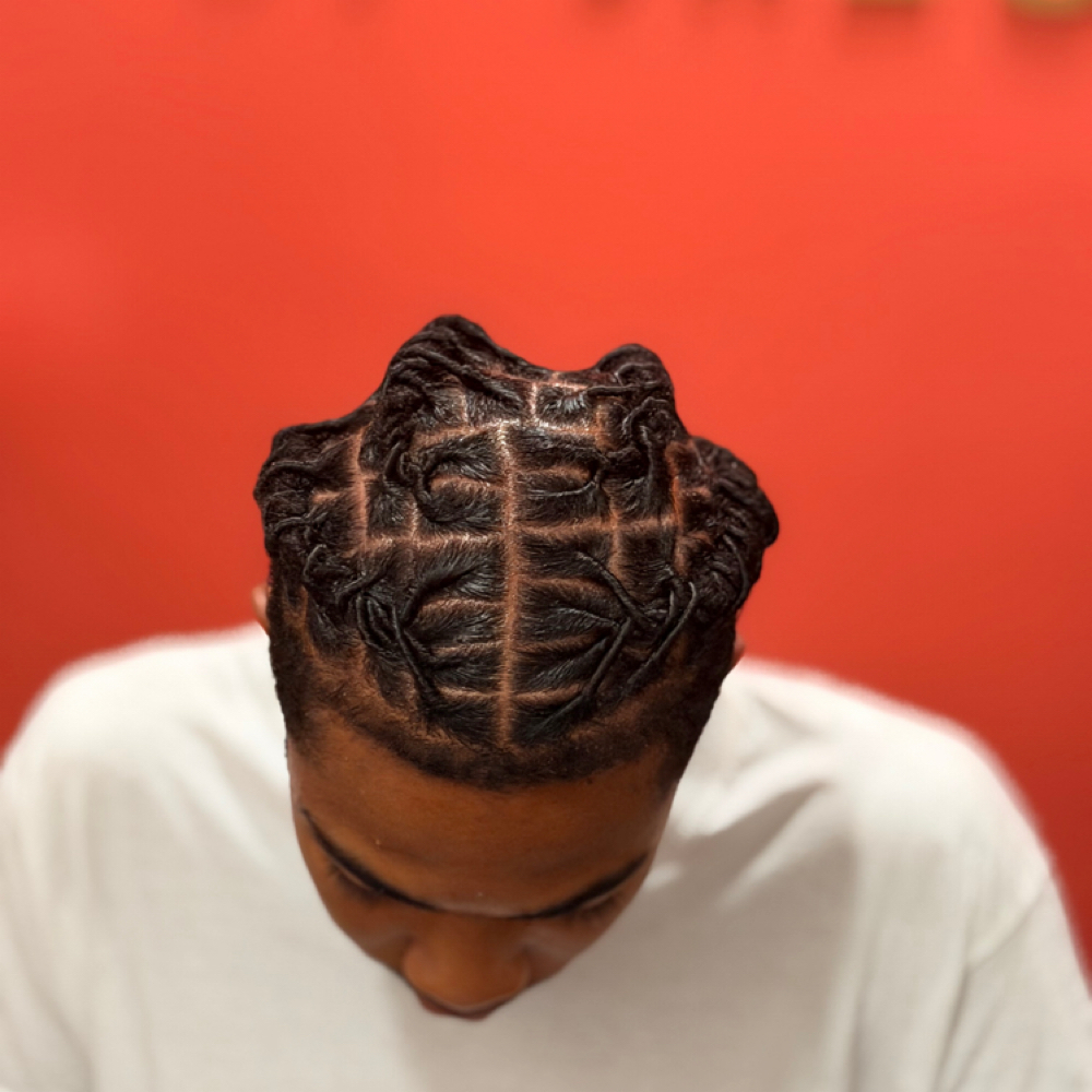 The Young Loc Experience at Rasta Locs By Dreca LLC in Tampa, FL