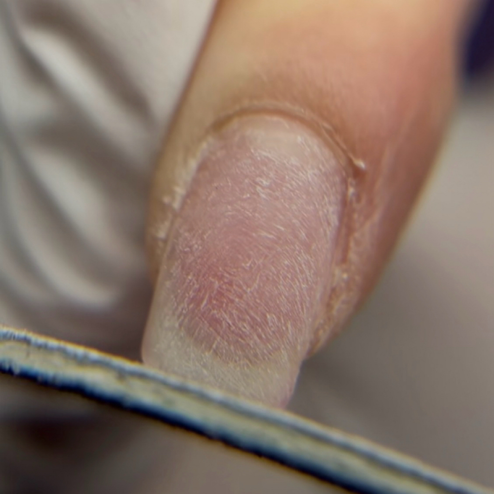 Cut Down / Reshape at Heaven Sent Beauty Lounge in Kettering, OH